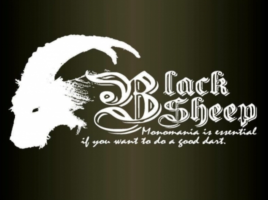 BlackSheep Darts Studio-Phoenix Dart 23 新北中和23店